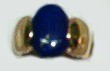 sortijalisalapislazuli.jpg